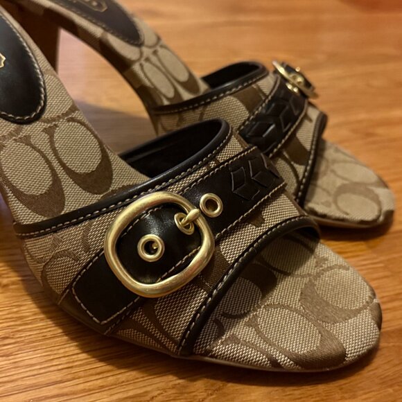 Coach slides - Picture 2 of 5